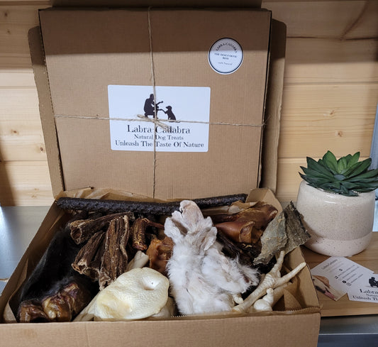 The Dogtastic Box