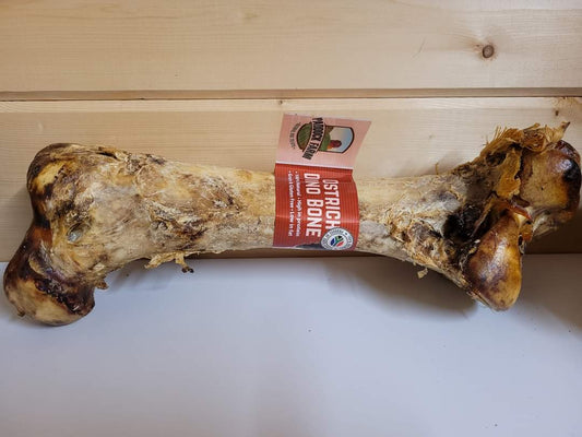 Ostrich Dino Bone