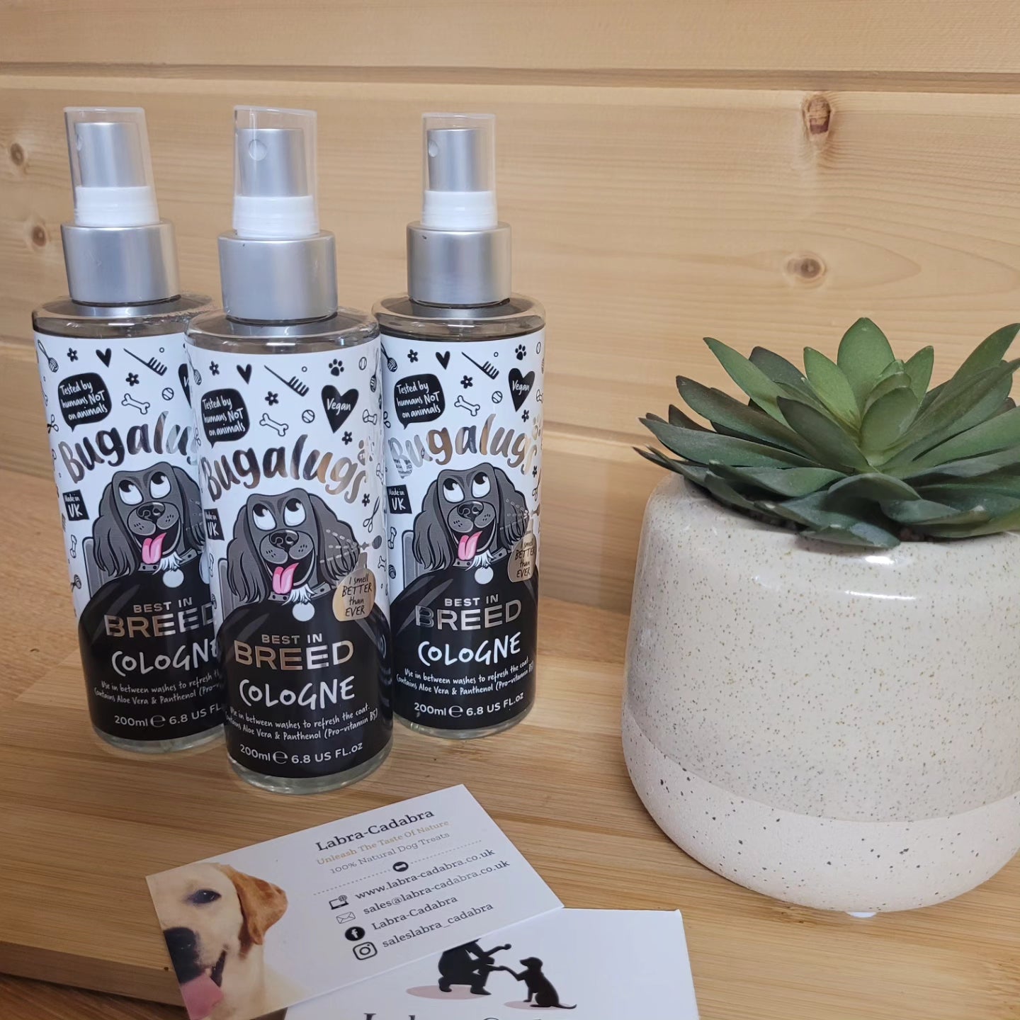 Bugalugs Best in Breed Cologne