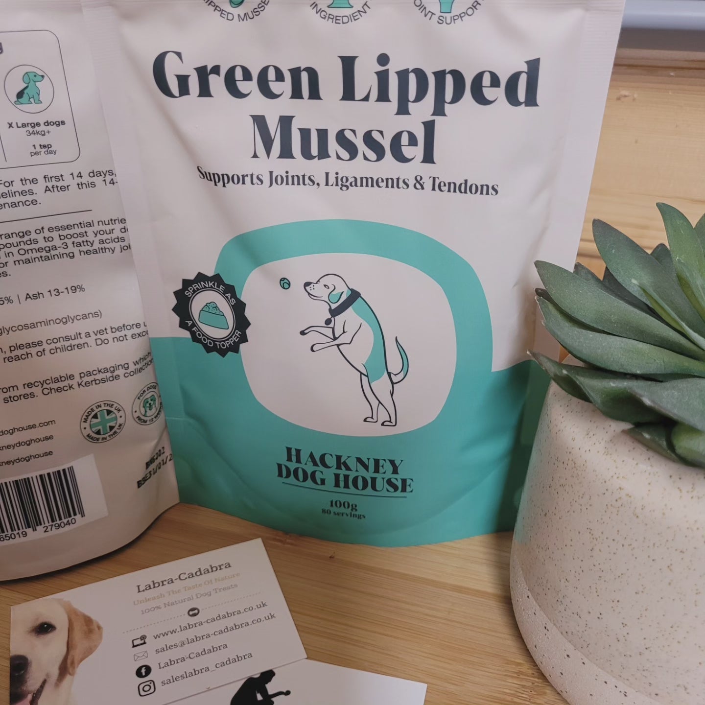 Hackney Dog House Green Lipped Mussel