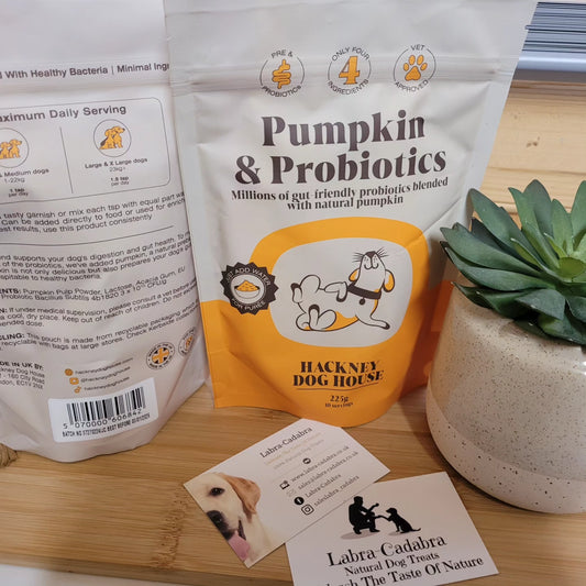 Hackney Dog House Pumpkin & Probiotics