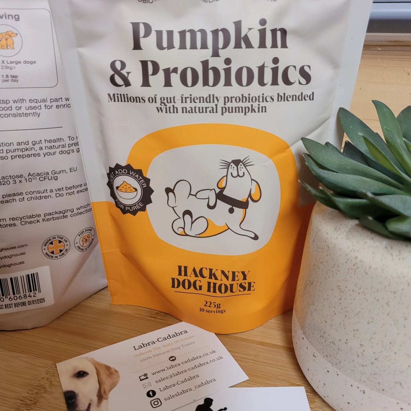 Hackney Dog House Pumpkin & Probiotics