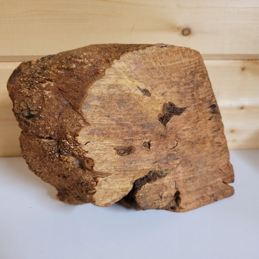 Large Briar Root